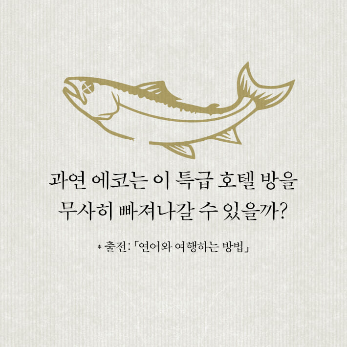 카드뉴스13