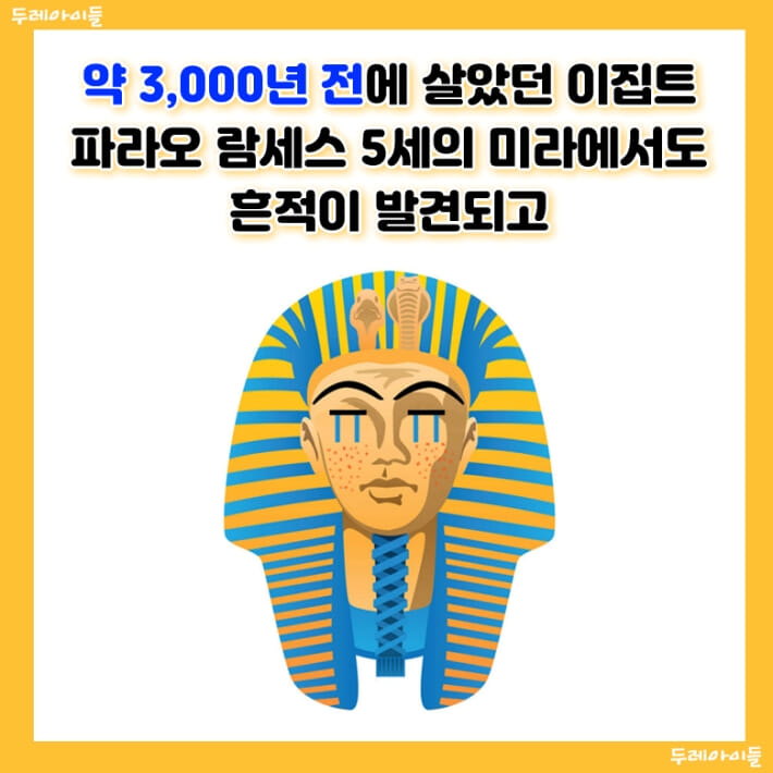 카드뉴스2