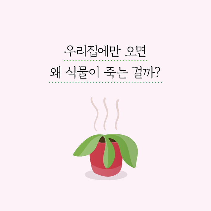 카드뉴스0