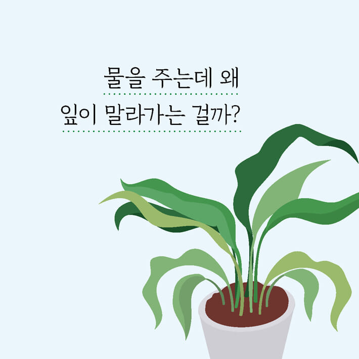 카드뉴스1