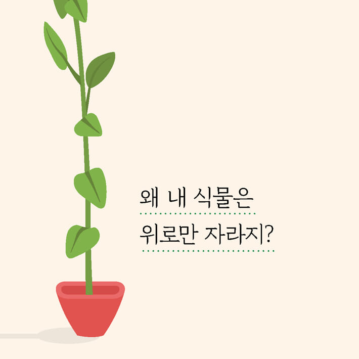 카드뉴스2