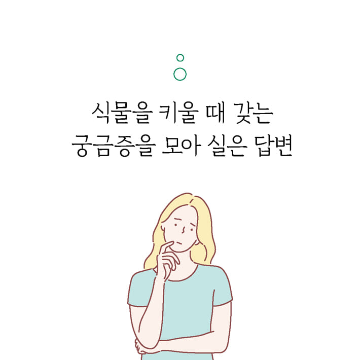 카드뉴스3