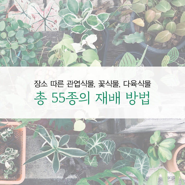 카드뉴스6
