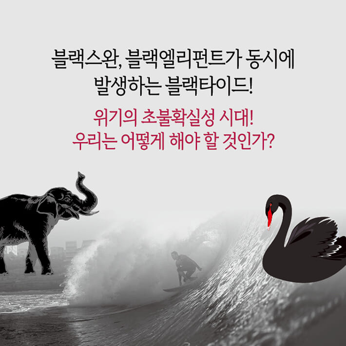 카드뉴스2