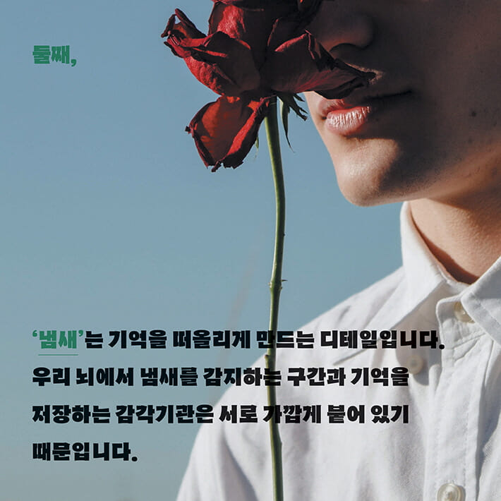 카드뉴스12