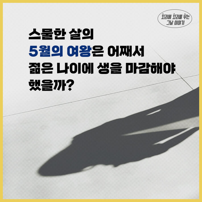 카드뉴스4