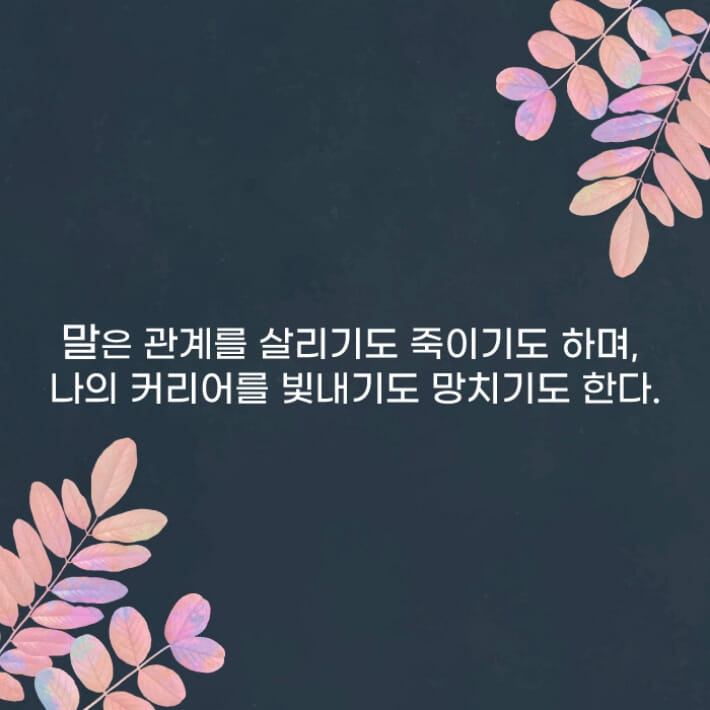 카드뉴스2