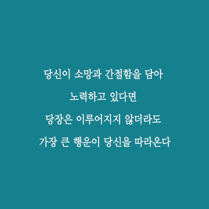 카드뉴스2