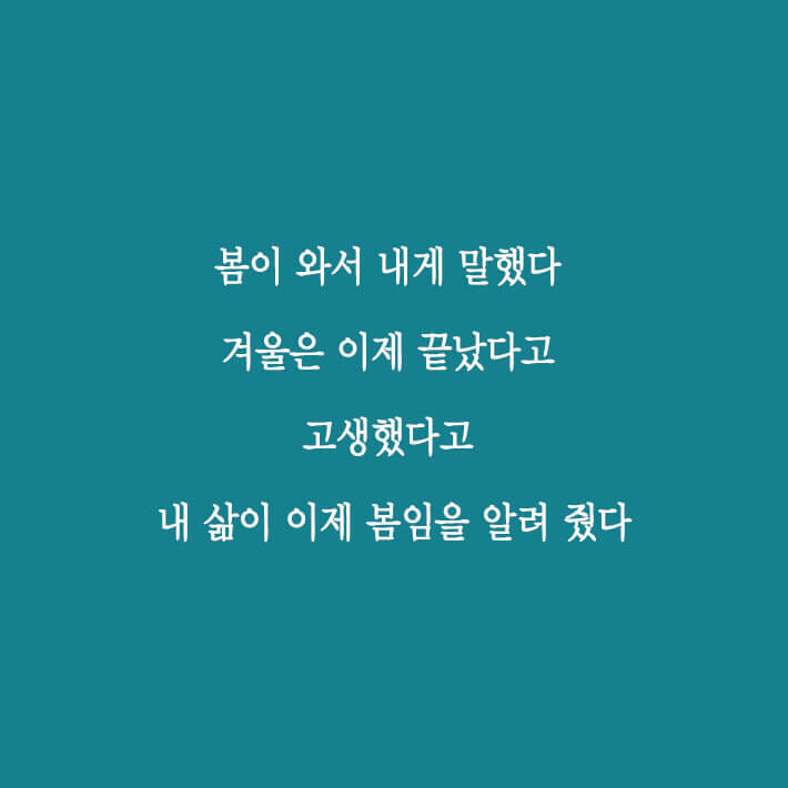 카드뉴스7