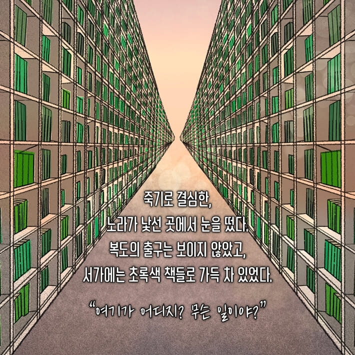 카드뉴스0