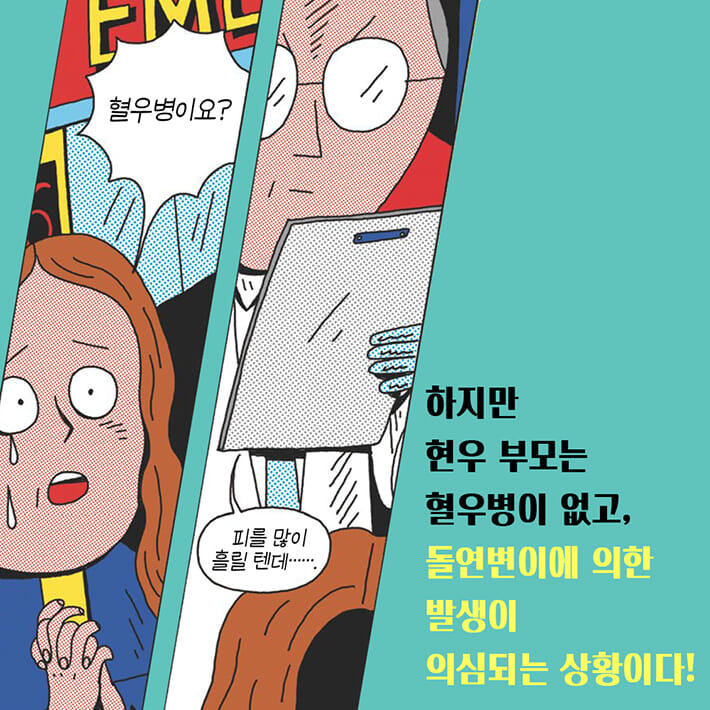 카드뉴스3
