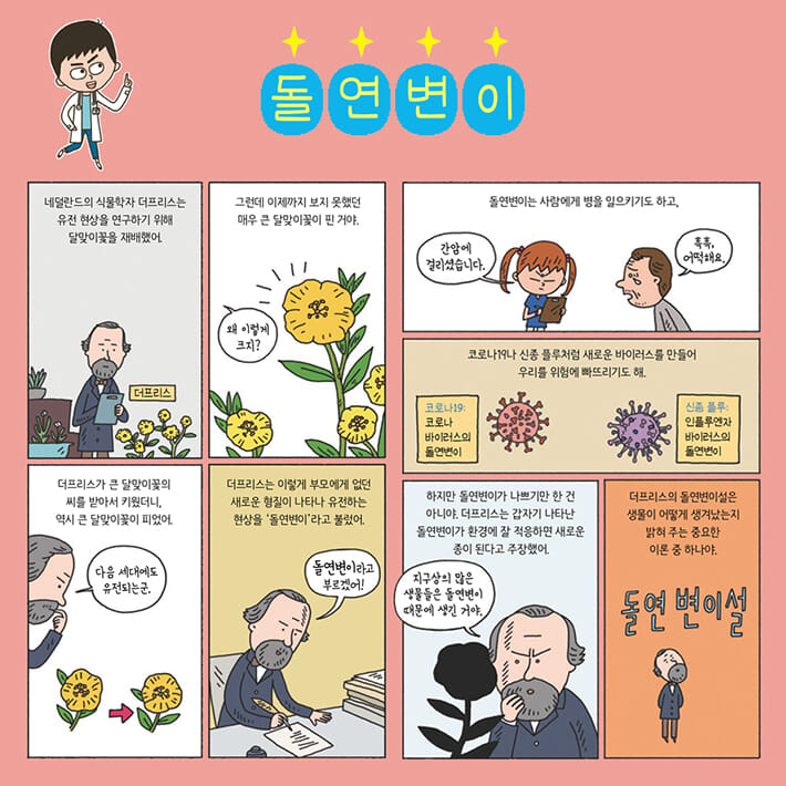 카드뉴스4