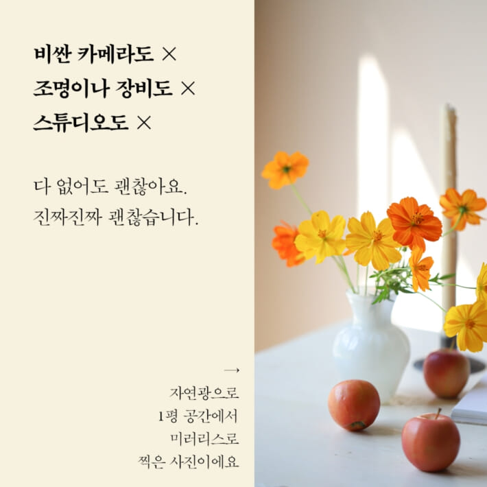 카드뉴스5