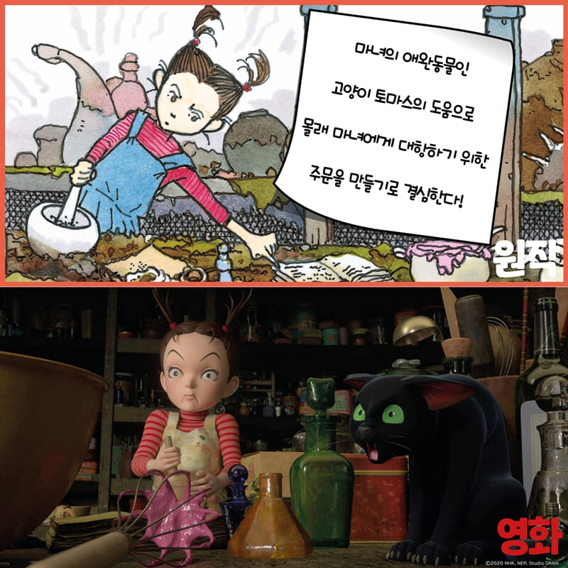 카드뉴스5