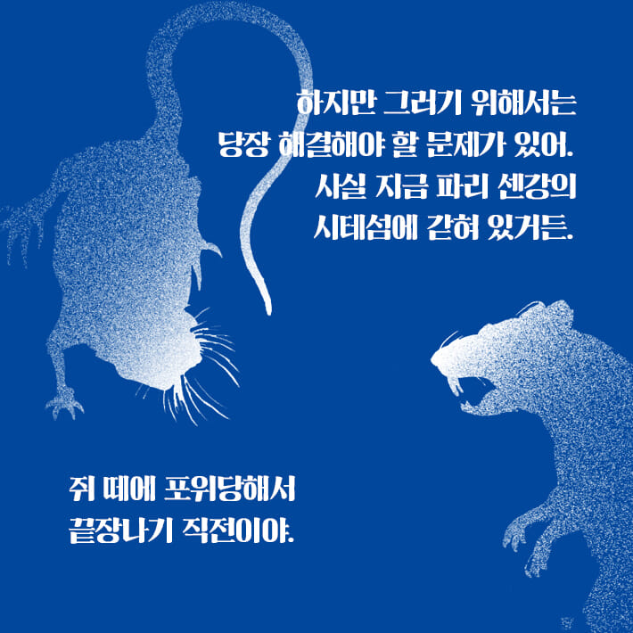 카드뉴스6