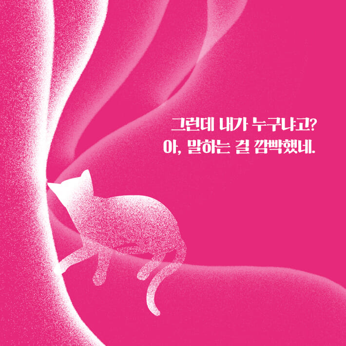 카드뉴스7