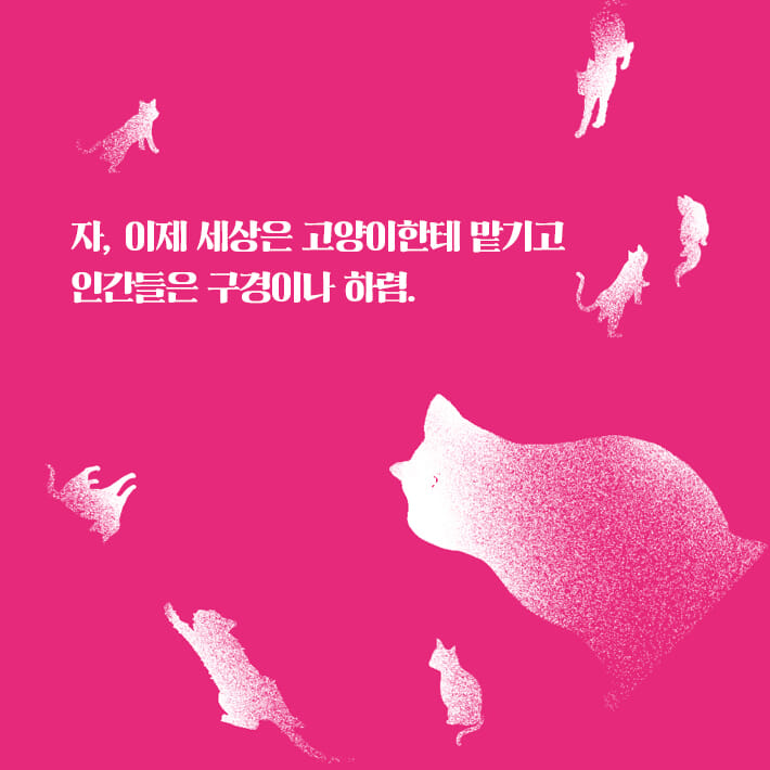 카드뉴스9