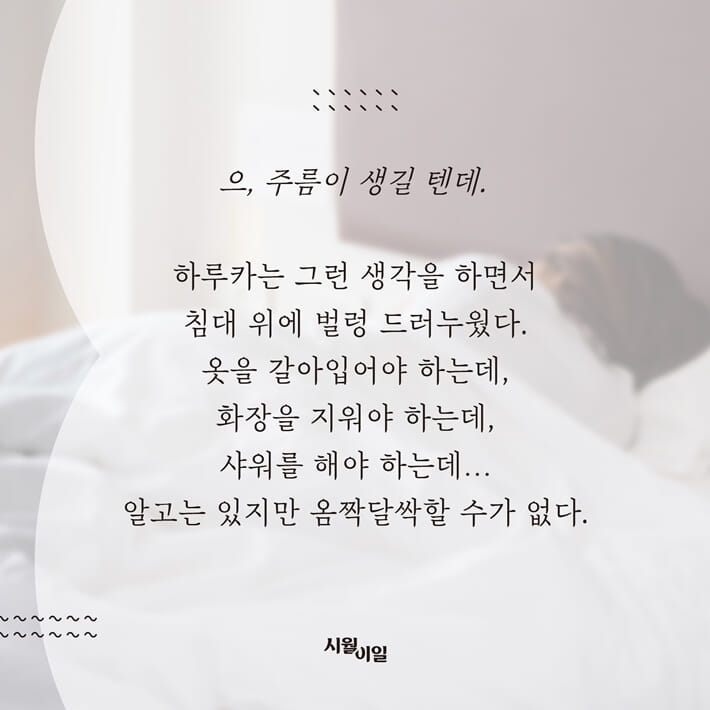 카드뉴스1