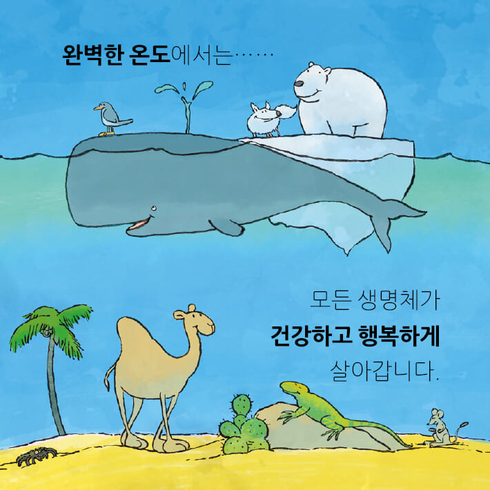 카드뉴스3
