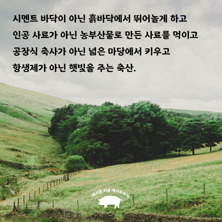 카드뉴스1