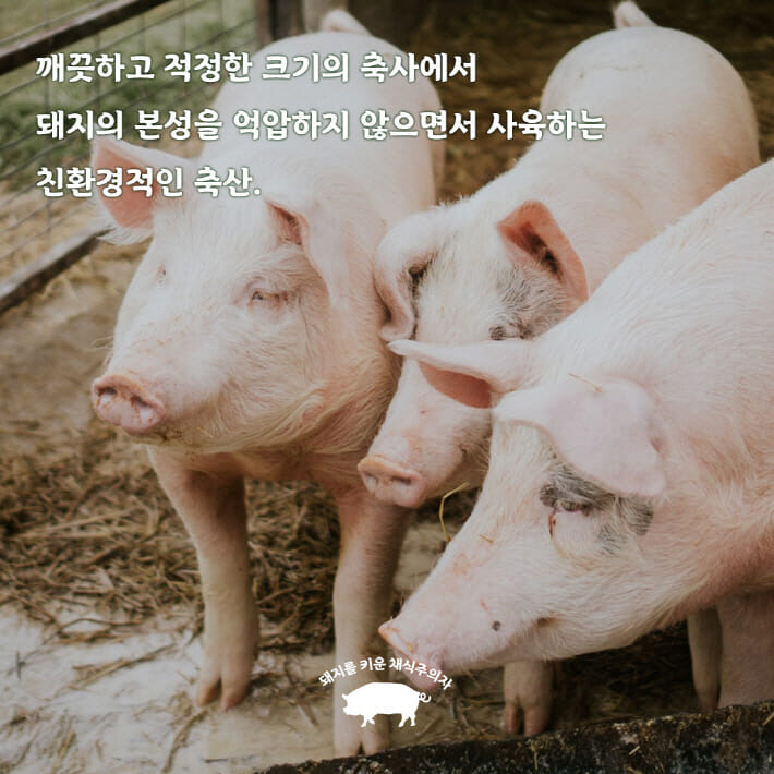 카드뉴스2