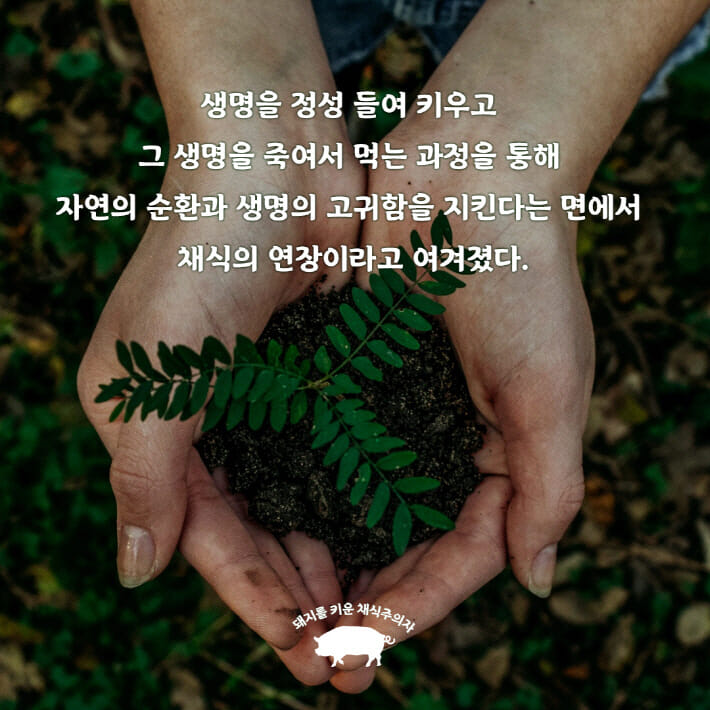 카드뉴스4