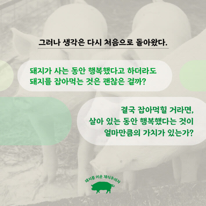 카드뉴스5