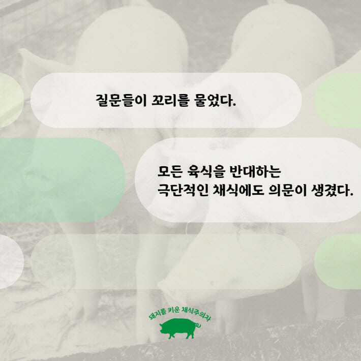 카드뉴스6