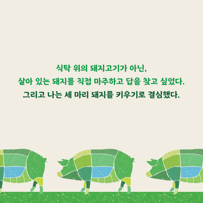 카드뉴스8