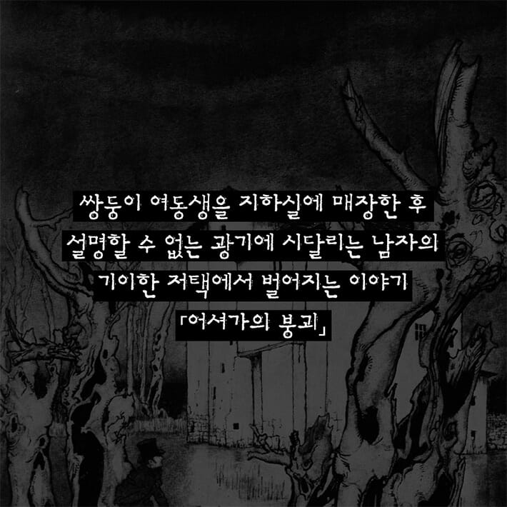 카드뉴스7