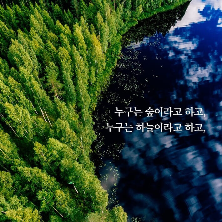 카드뉴스5