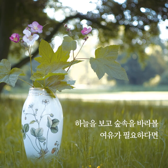 카드뉴스9