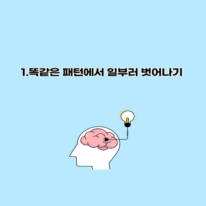 카드뉴스2