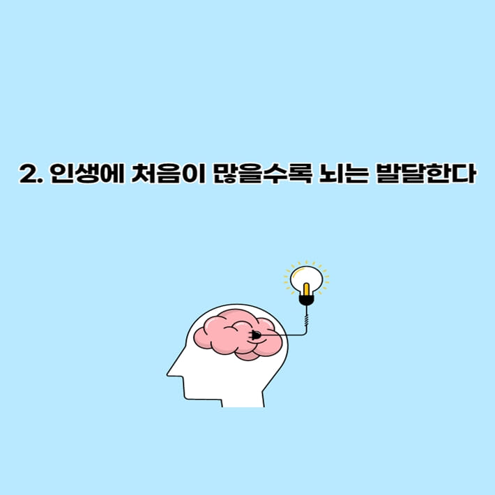 카드뉴스4