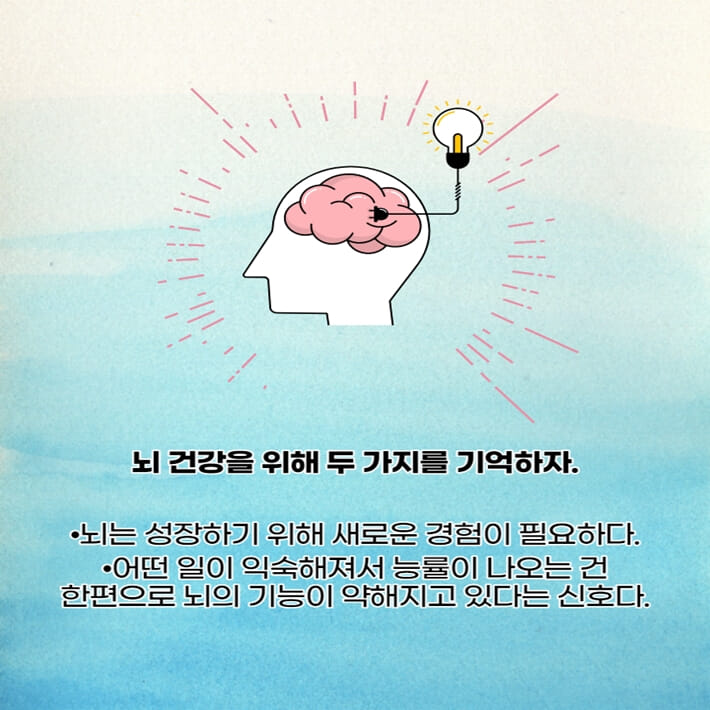 카드뉴스8