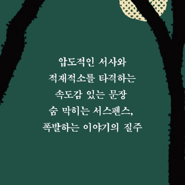 카드뉴스2