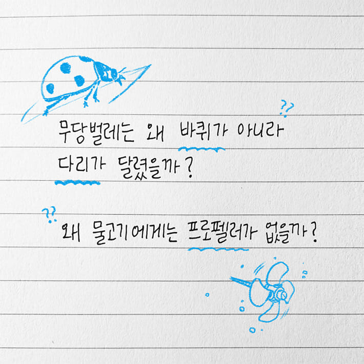 카드뉴스0