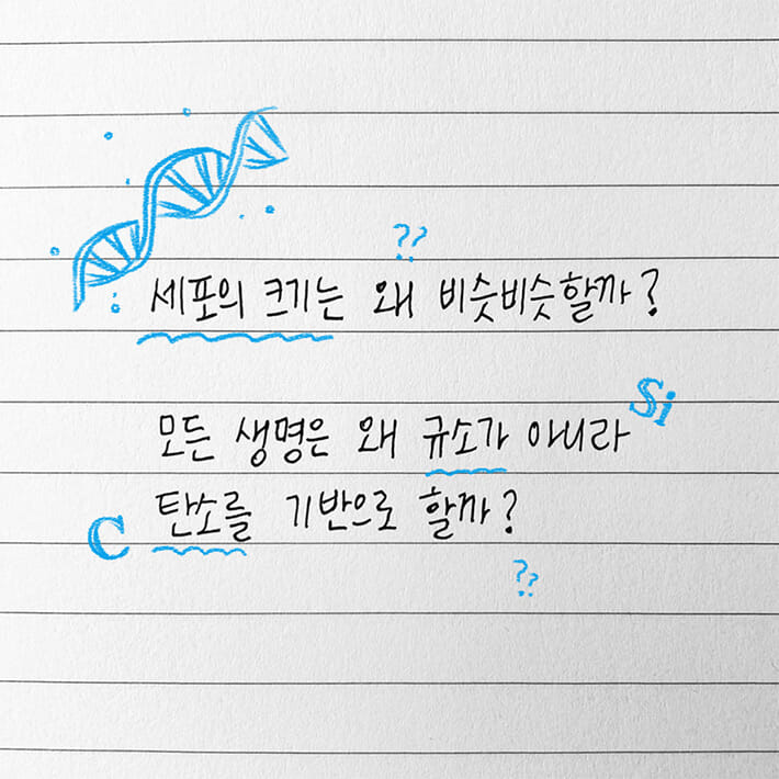카드뉴스1