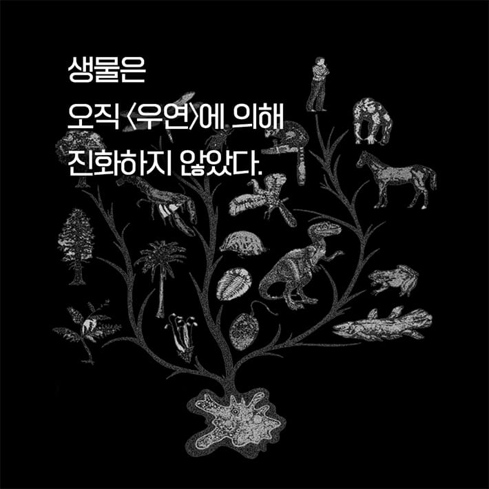 카드뉴스2