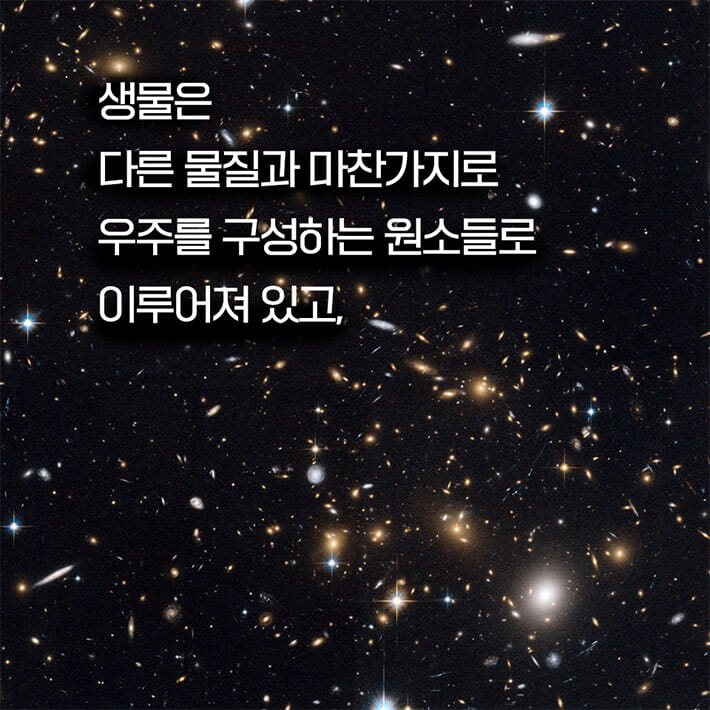 카드뉴스3
