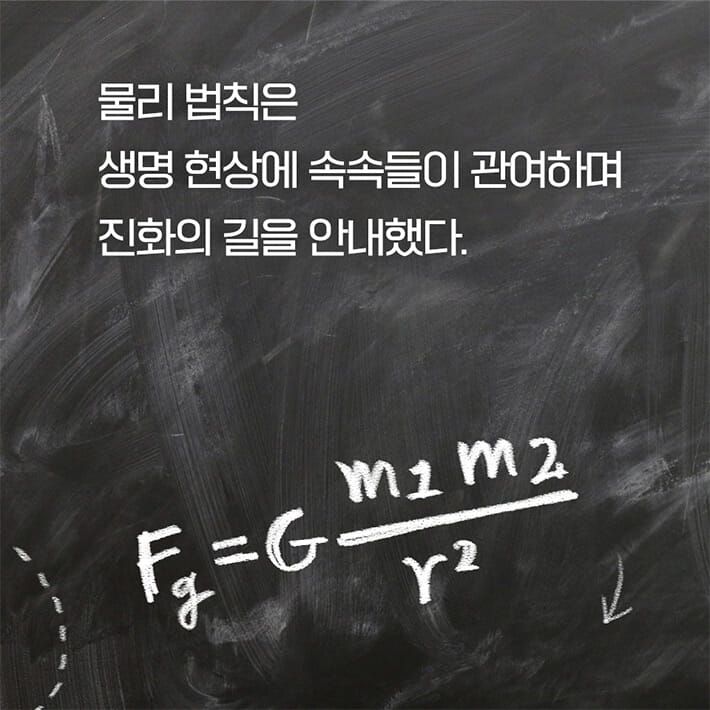 카드뉴스4