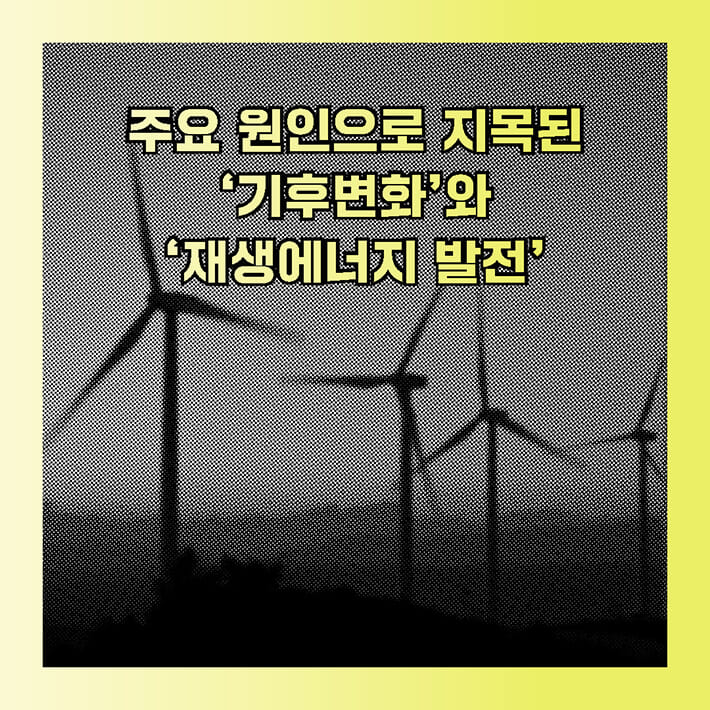 카드뉴스3