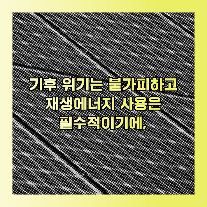 카드뉴스6
