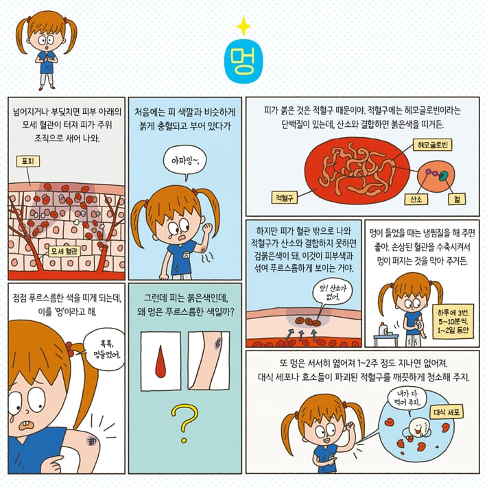 카드뉴스3