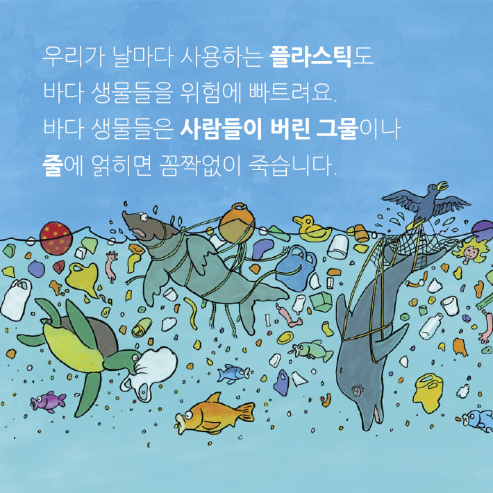카드뉴스6