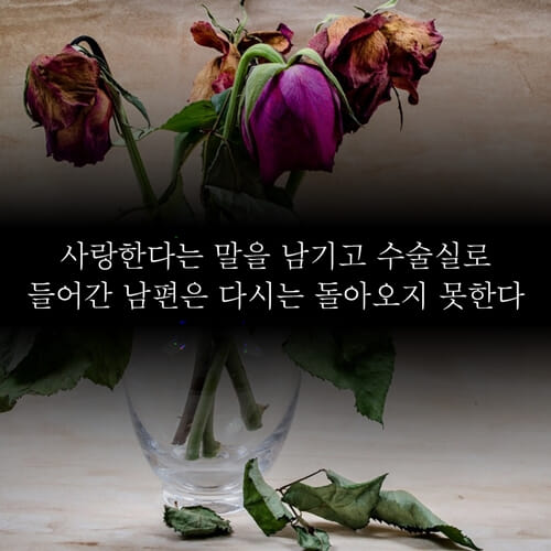 카드뉴스2
