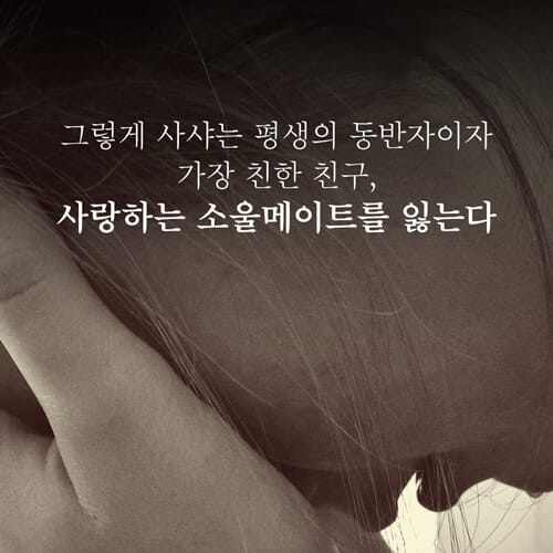 카드뉴스3