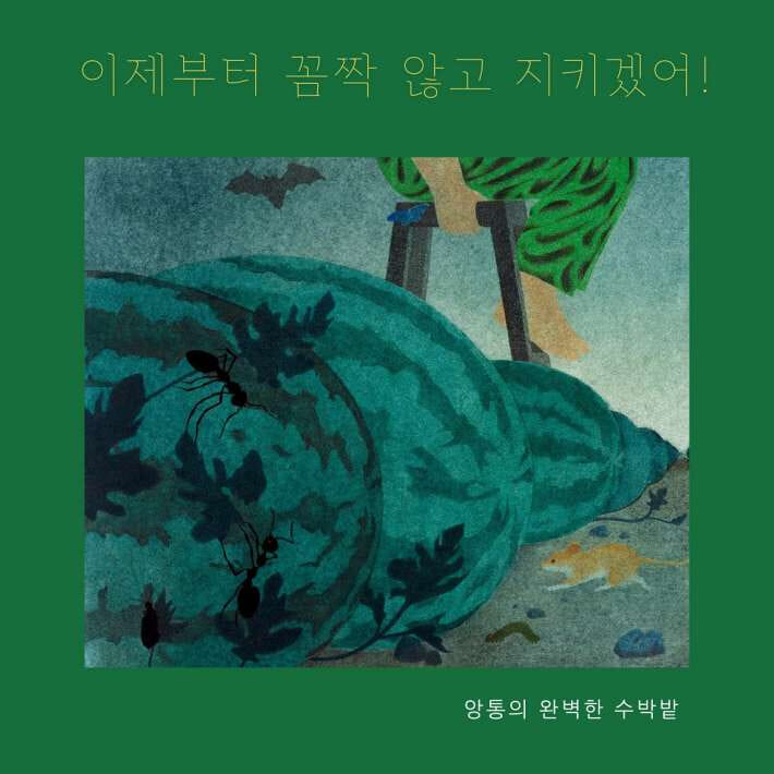 카드뉴스3