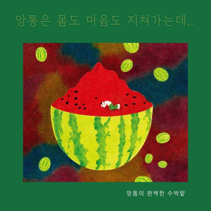 카드뉴스4