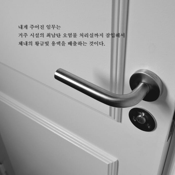 카드뉴스1